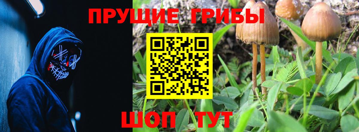 Галлюциногенные грибы MAGIC MUSHROOMS Кубинка